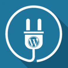 A List Of WordPress And WooCommerce Plugins For a Variety of Uses